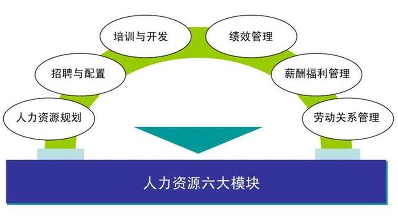 劳务外包代理加盟：企业用工新选择**